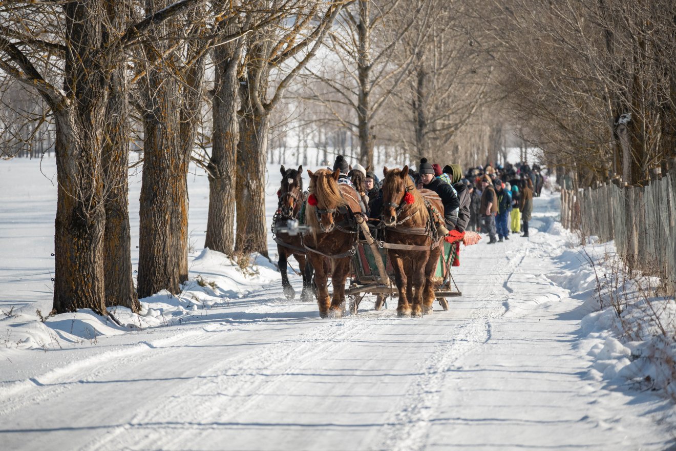 &bullet;  Fotó: Borbély Fanni
