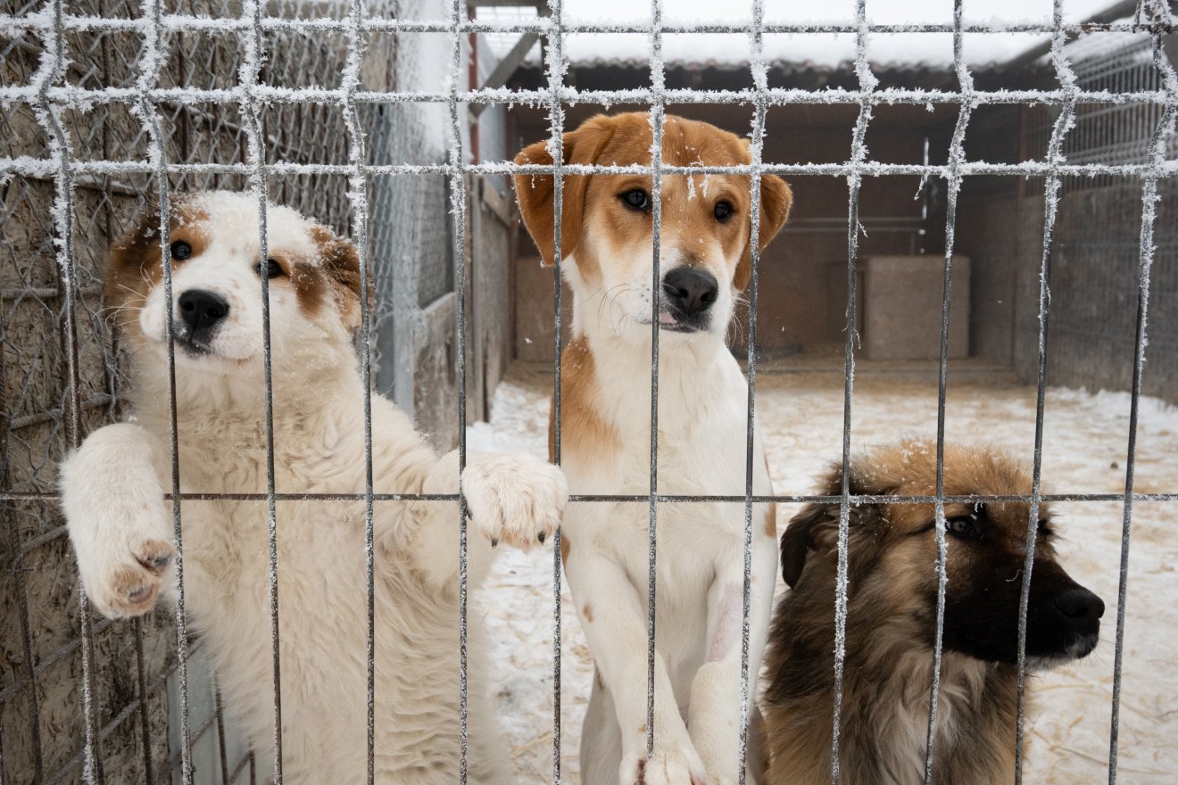 &bullet;  Fotó: Borbély Fanni