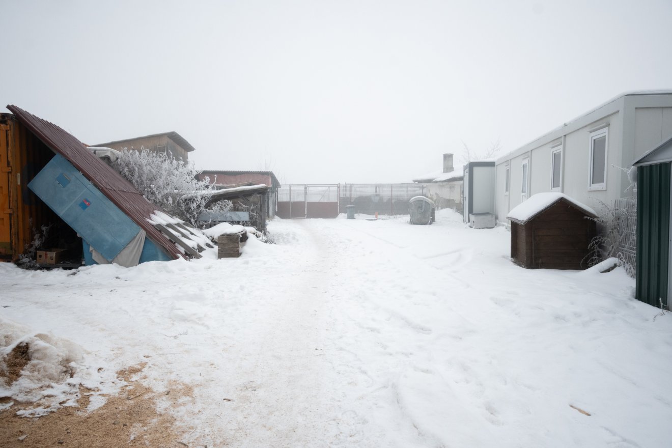 &bullet;  Fotó: Borbély Fanni
