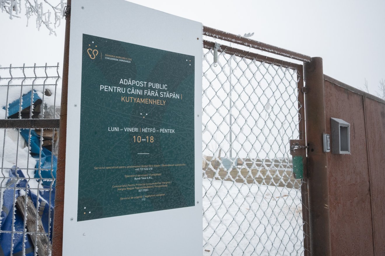 A csíkszeredai városi menhely is Taplocán működik, közvetlenül a Pro Animalia Alapítvány szomszédságában