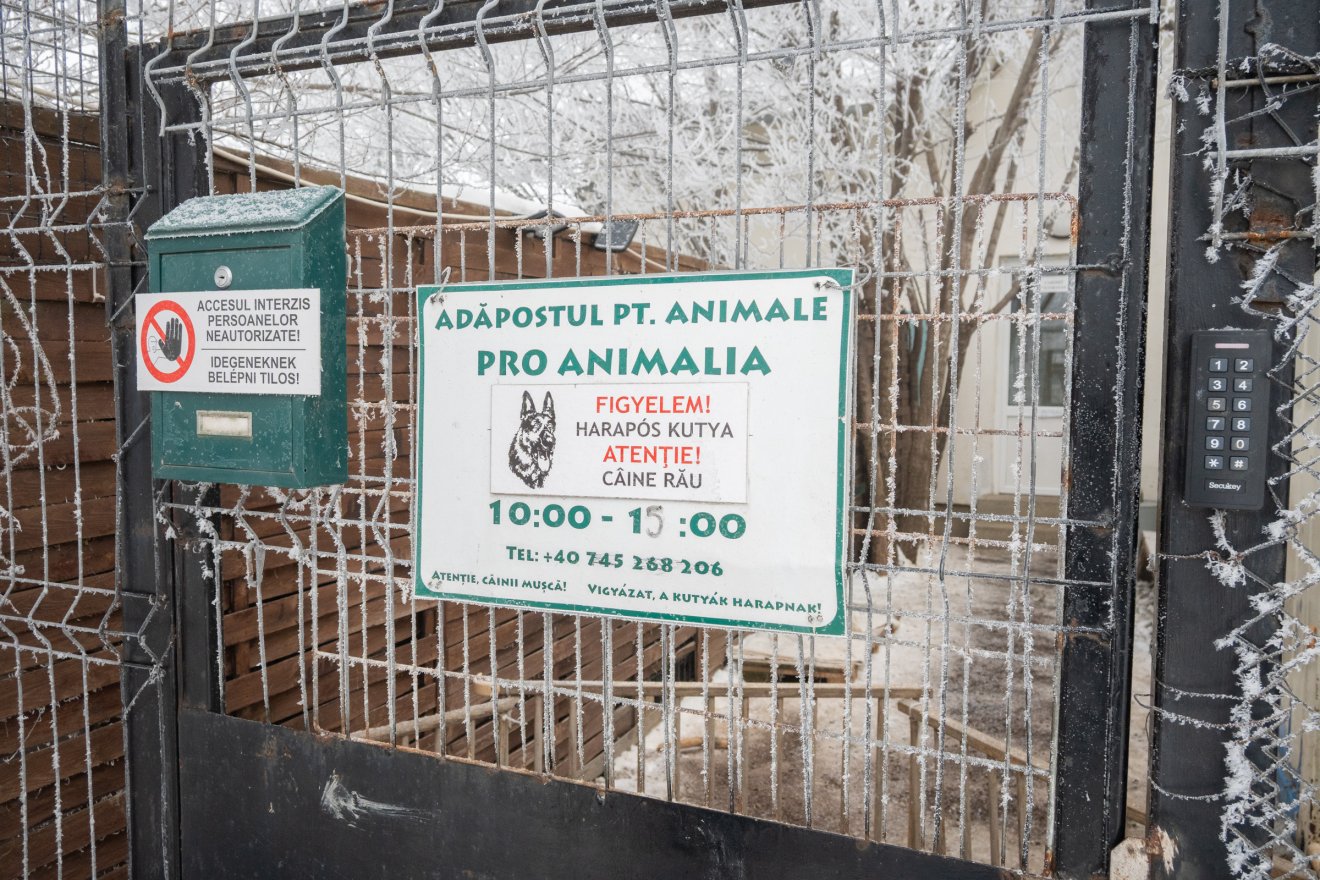 Zárt kapuk fogadják ezentúl a taplocai kutyamenhelyen azokat, akik menhelyre adnák kutyájukat