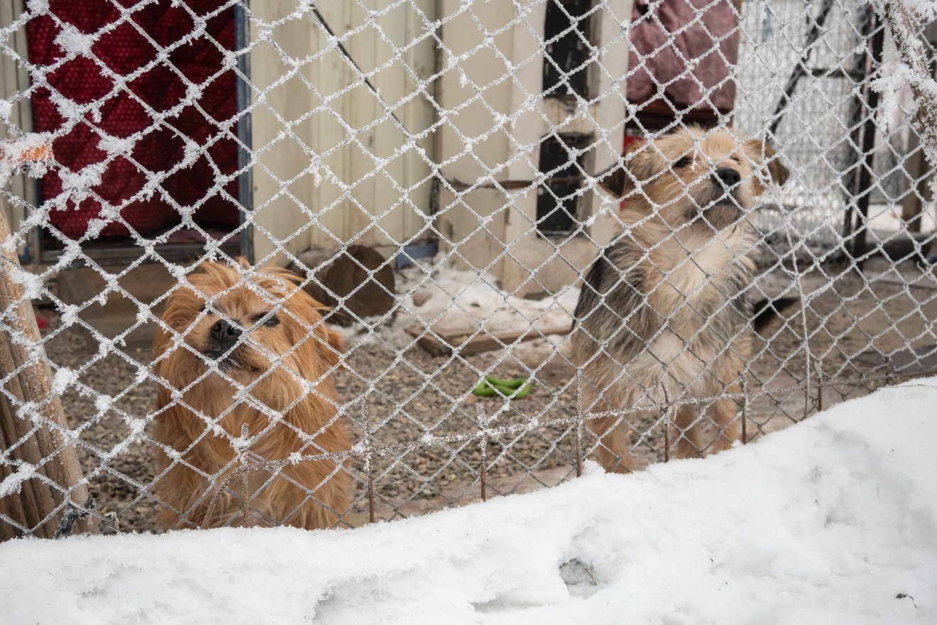 &bullet;  Fotó: Borbély Fanni