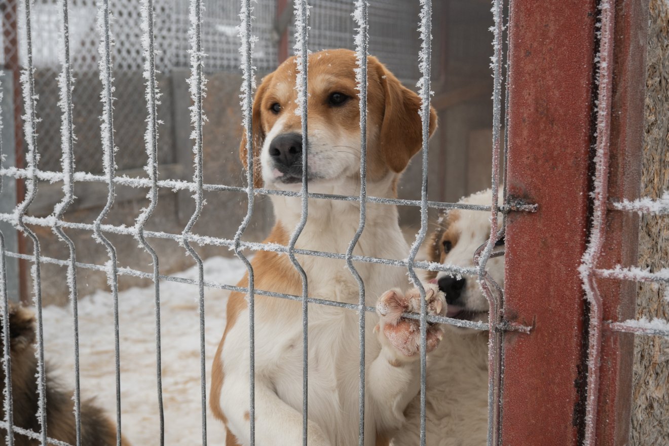 &bullet;  Fotó: Borbély Fanni