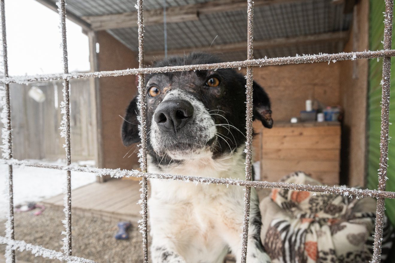 &bullet;  Fotó: Borbély Fanni