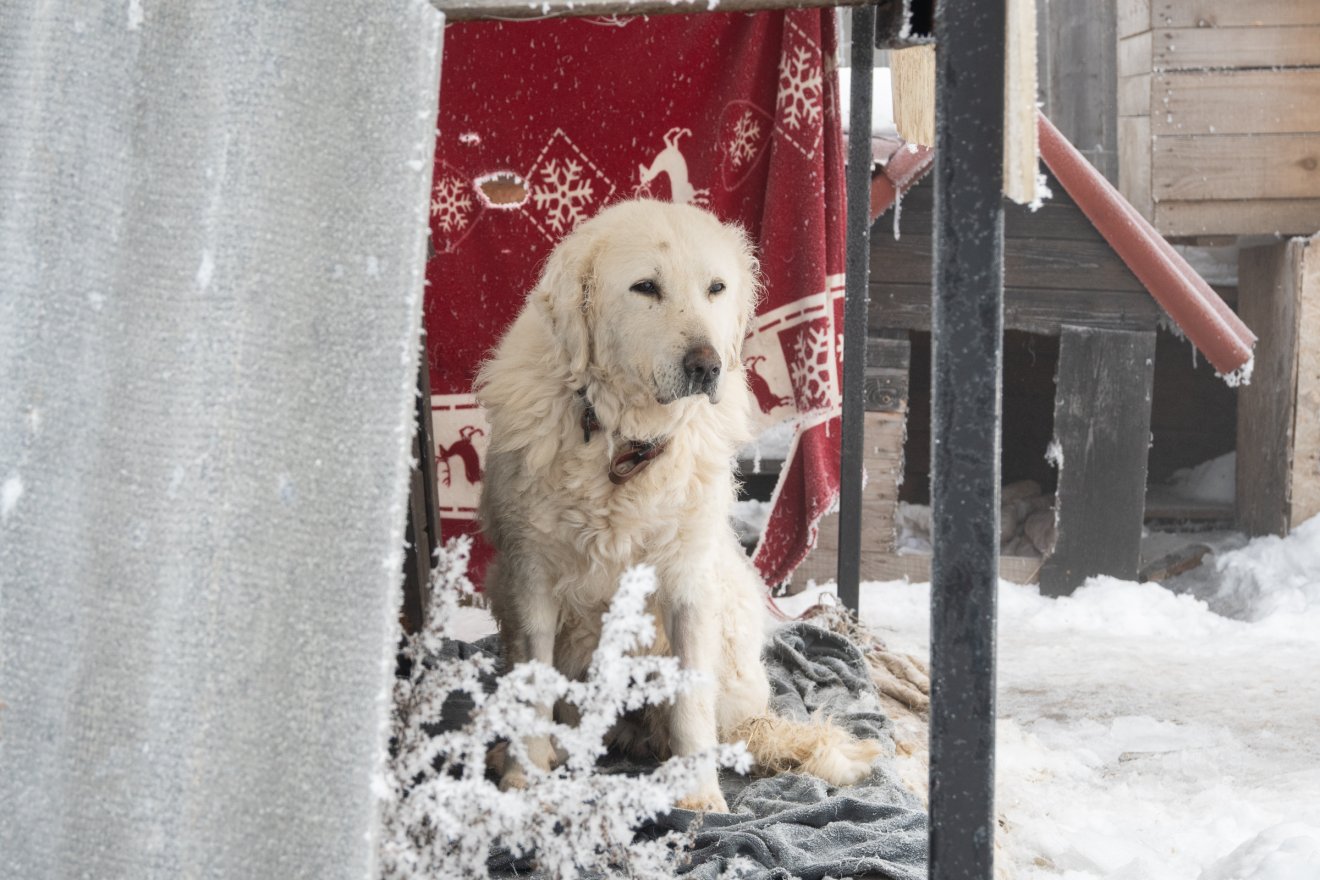 &bullet;  Fotó: Borbély Fanni