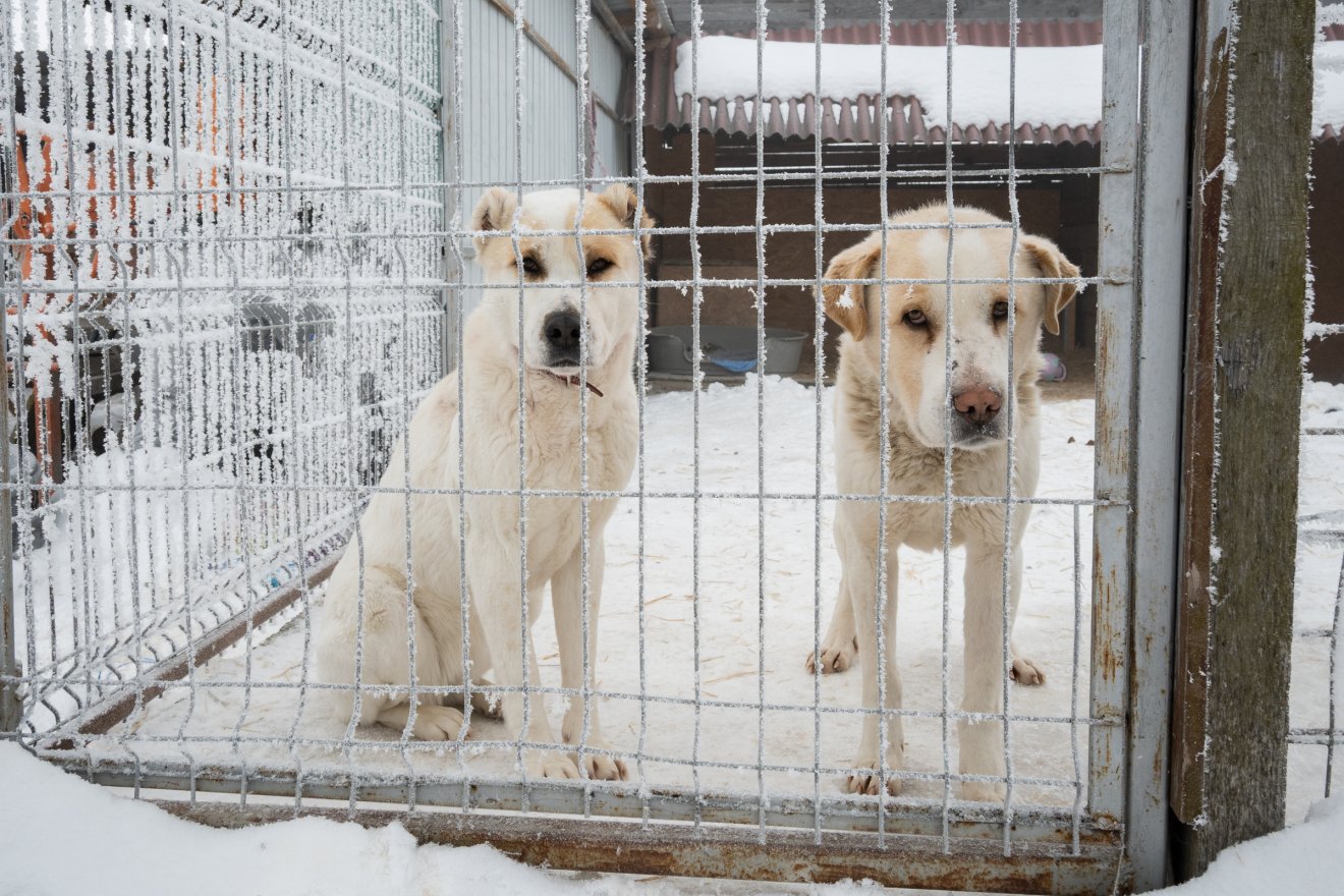 &bullet;  Fotó: Borbély Fanni