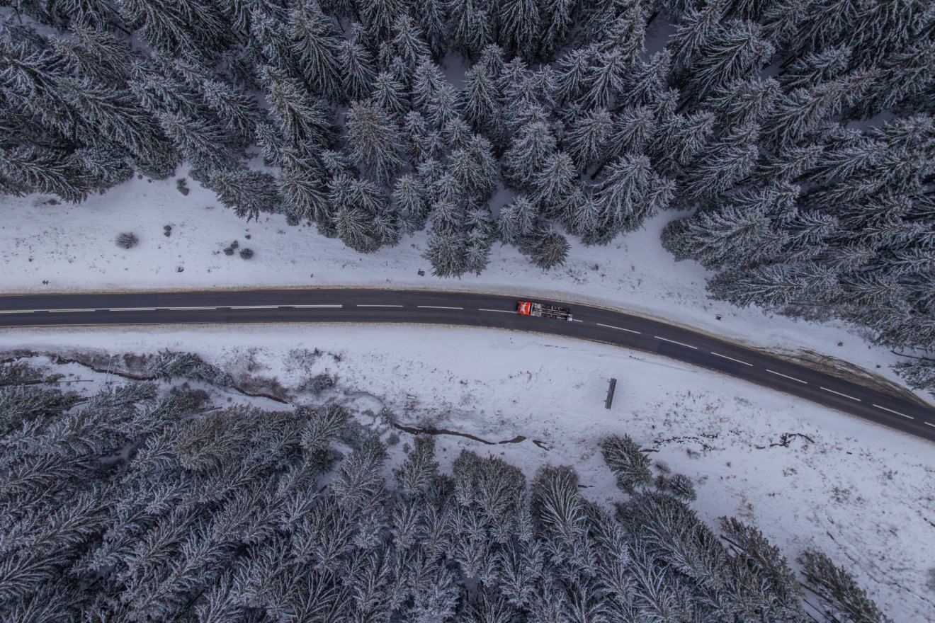 tél, természet, küzdelem, szépség