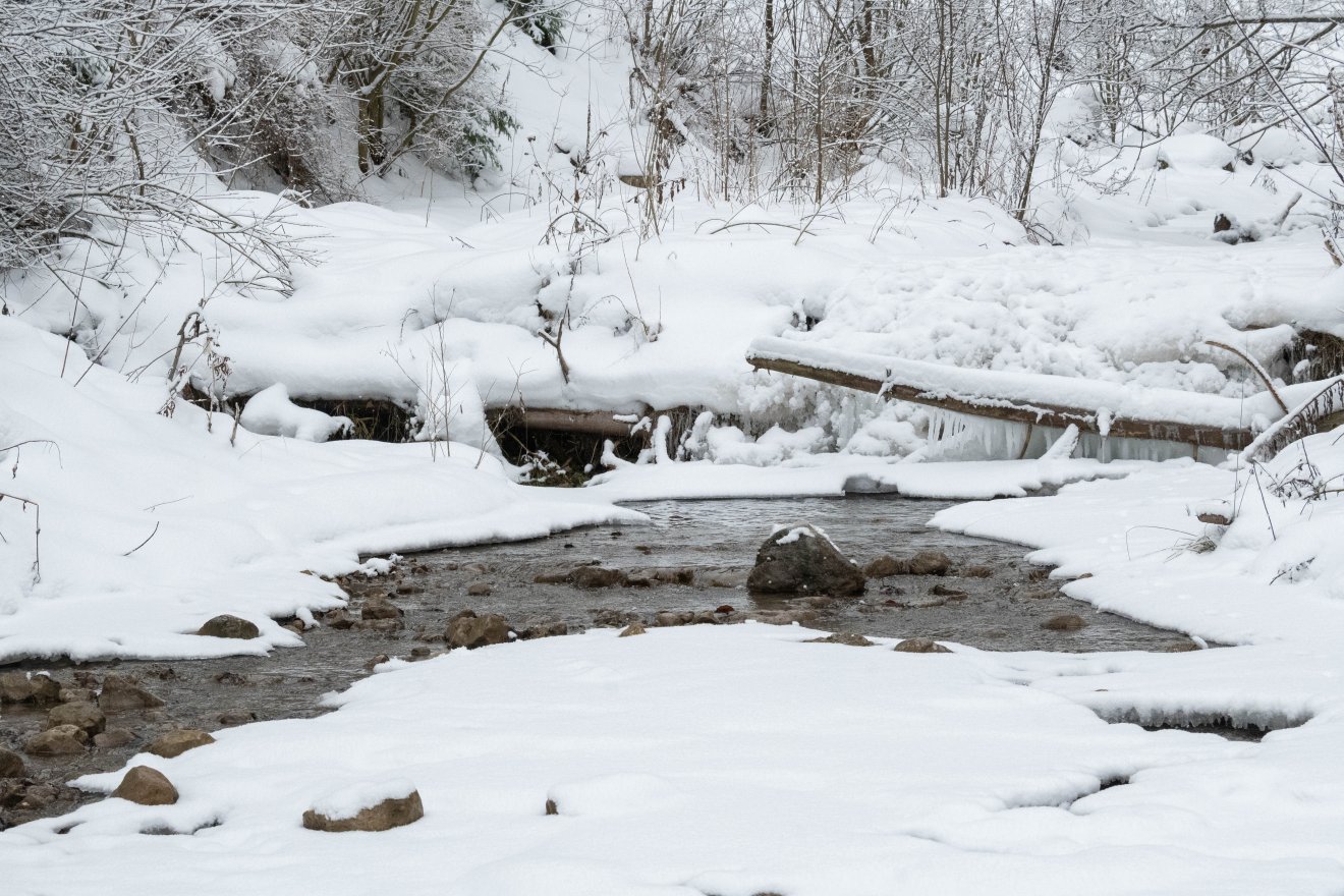 A hegyekben havazás is valószínű • Fotó: Borbély Fanni