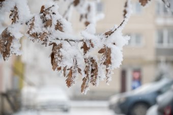 Ismét visszatér a fagy, de ezúttal csak egy napra