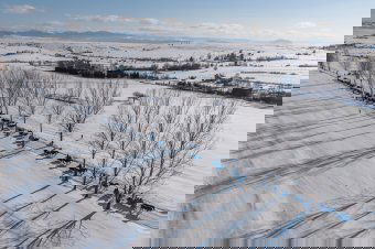 Végeláthatatlan sorban a lovasszánok: új hagyományt teremtettek Felcsíkon – videó