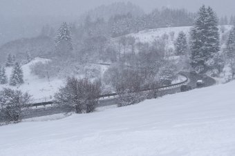 Több tízezer háztartás maradt áram nélkül a havazás miatt
