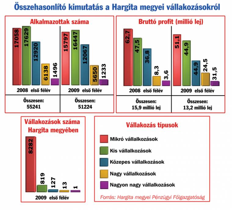 Felmérték Hargita megye gazdasági állapotát