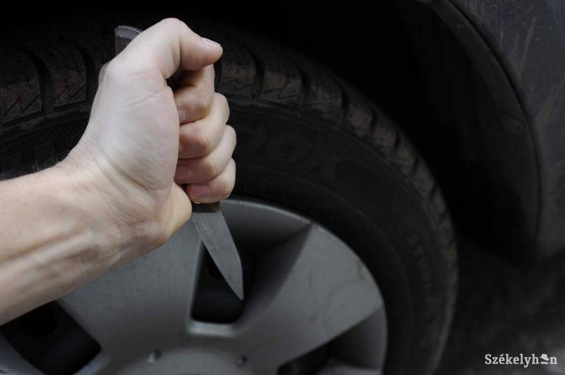 &bullet;  Fotó: Kristo Robert