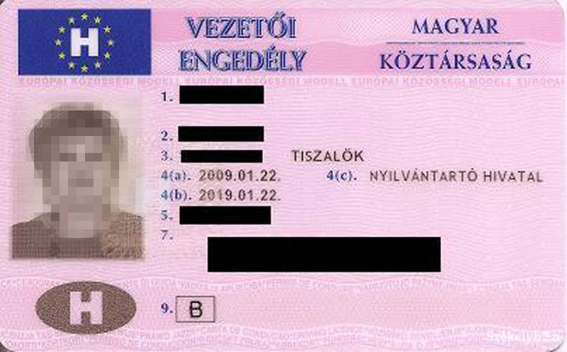 • Fotó: Elekes Zsolt