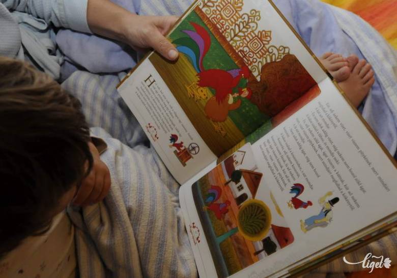 A mesében található a lelki, szellemi életre vonatkozó tudás •  Fotó: Kristo Robert