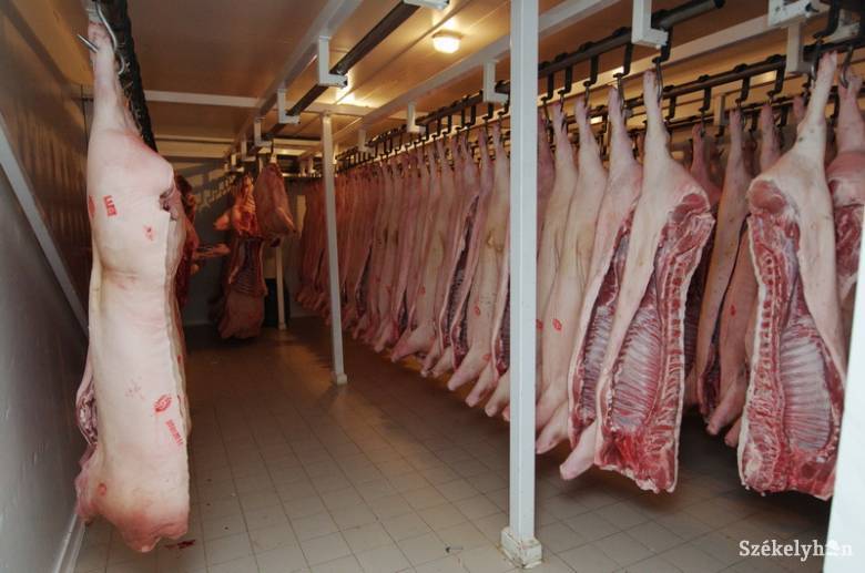 A friss húsnak mindig van keletje •  Fotó: Kristó Róbert