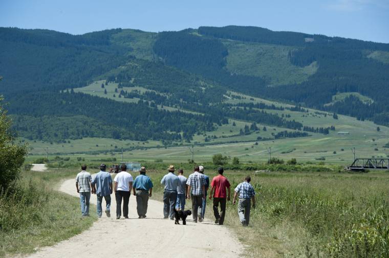 Közbirtokossági háború Csatószegen