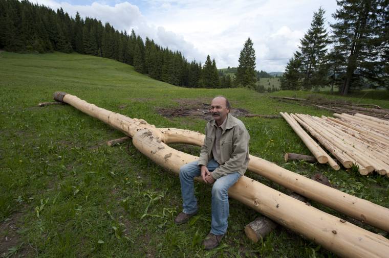 Hittel épülő harangláb Szépvízen