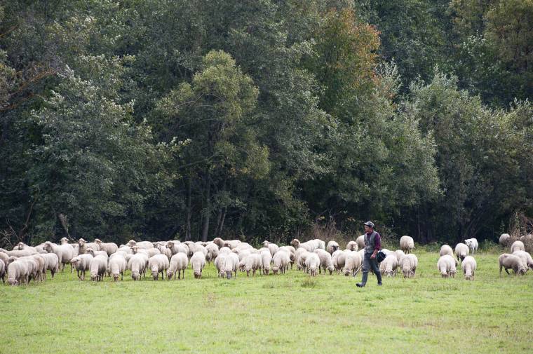A vártnál kevesebben kértek támogatást