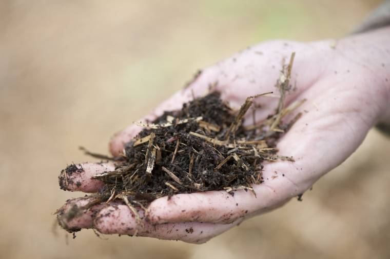 Gilisztafarm Vacsárcsiban