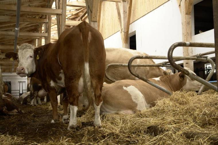 A legnépszerűbb pályázati kiírásra jelentkezhetnek a gazdák