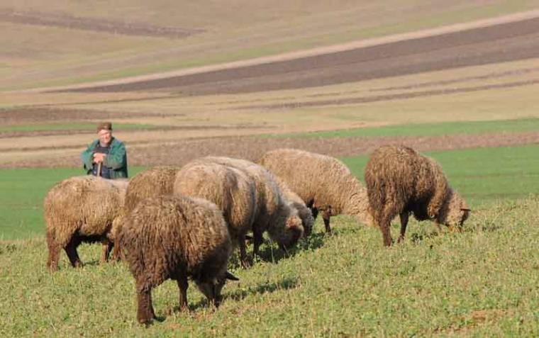 Utolsó három nap rohantak a gazdák
