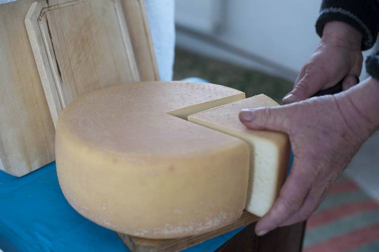 Állattartó, sajtkészítő gazdák jelentkezhetnek