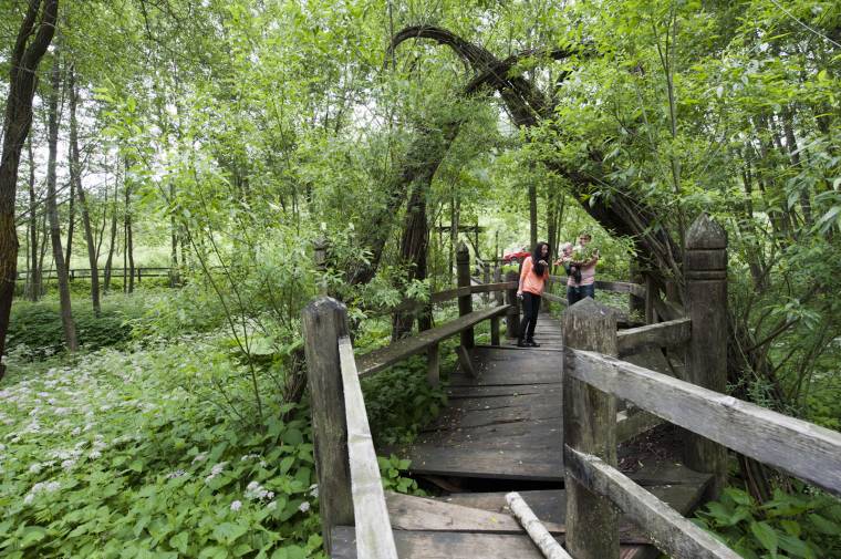 Szebb napokat is megélt népi fürdő