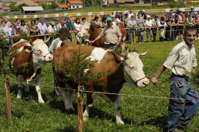 Szemet gyönyörködtető seregszemle