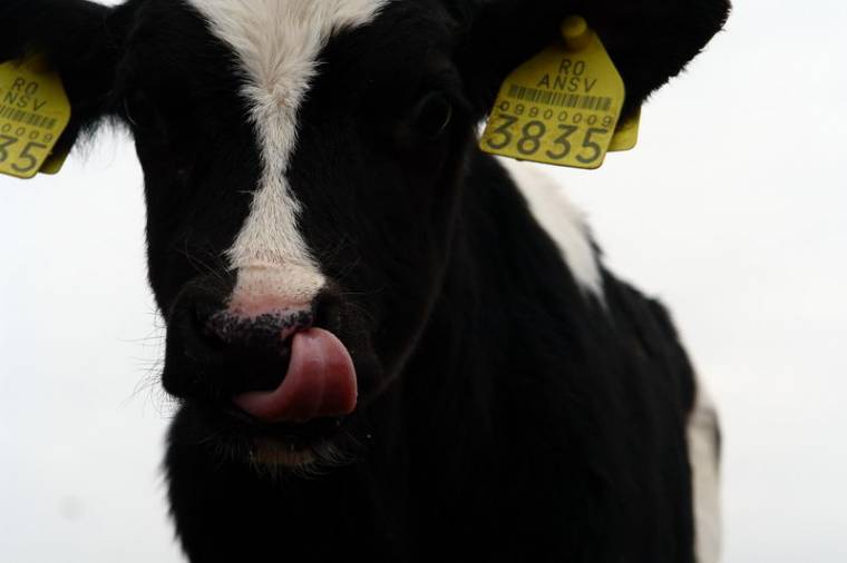 Ingyen pályázhatnak a gazdák