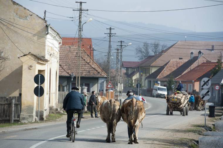 A vártnál kevesebben pályáztak a vidékfejlesztési kiírásokon