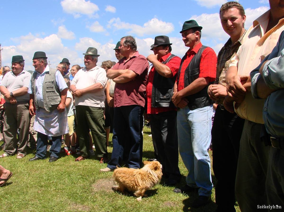 &bullet;  Fotó: Pinti Attila