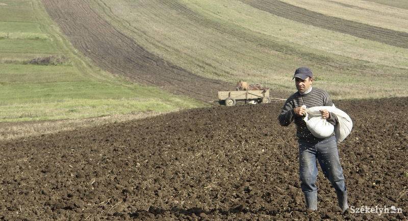 •  Fotó: Kristó Róbert