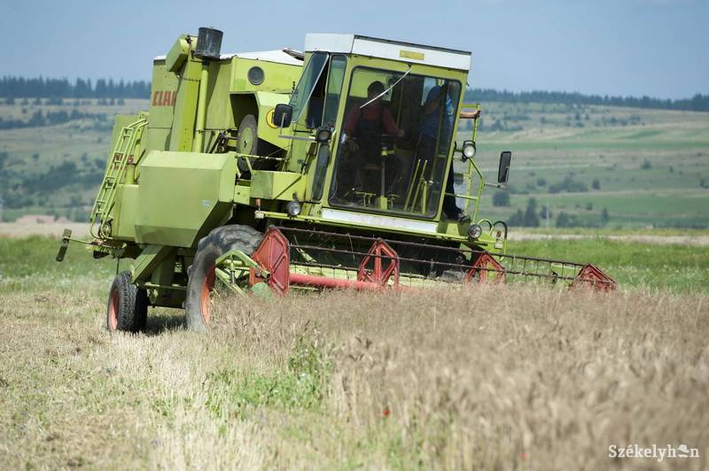 • Fotó: Kristó Róbert