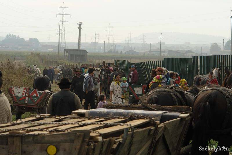 •  Fotó: Kristó Róbert