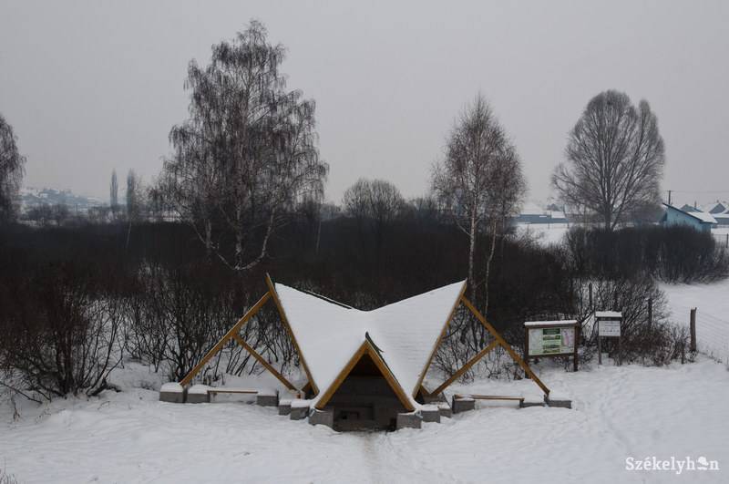 • Fotó: Kristó Róbert