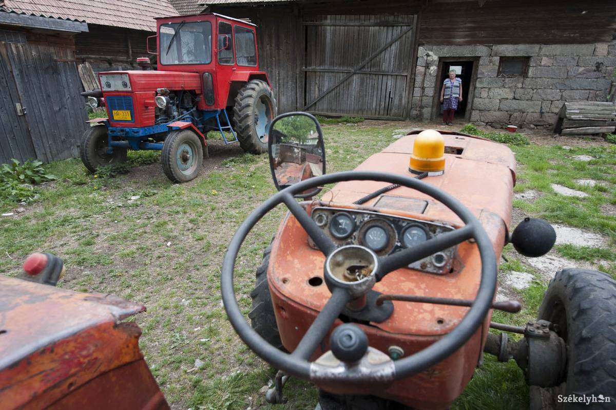 • Fotó: Kristó Róbert