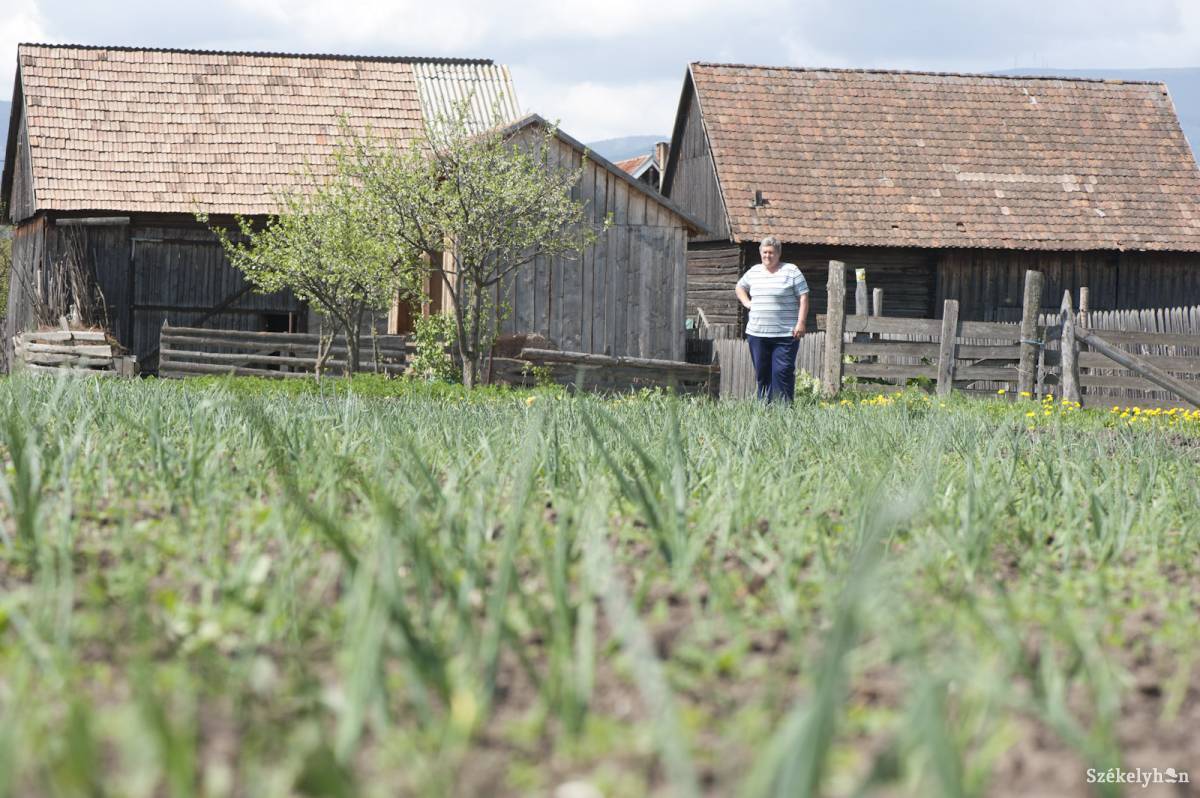 • Fotó: Kristó Róbert