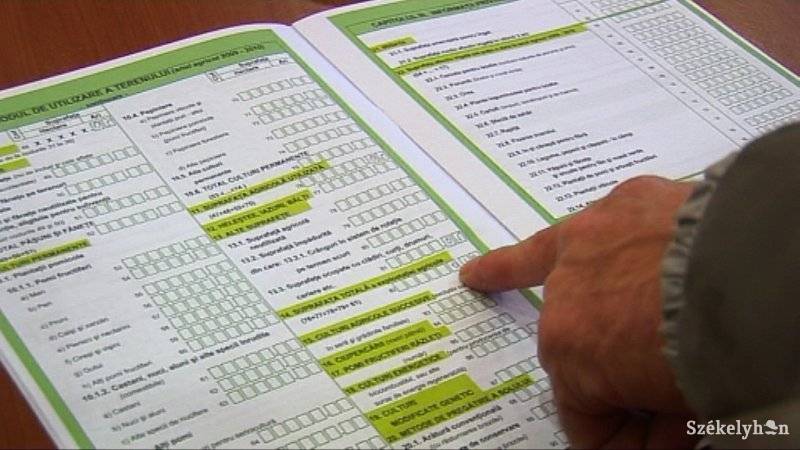 • Fotó: Kristó Róbert