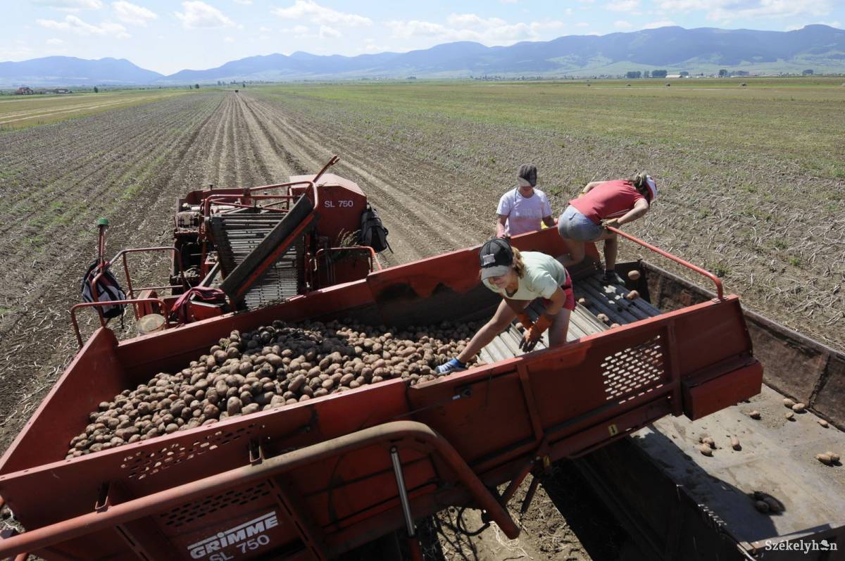 &bullet;  Fotó: Kristó Róbert
