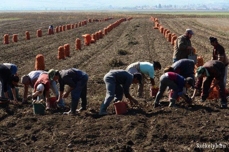 • Fotó: Kristó Róbert