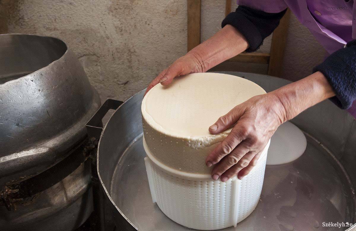 &bullet;  Fotó: Kristó Róbert