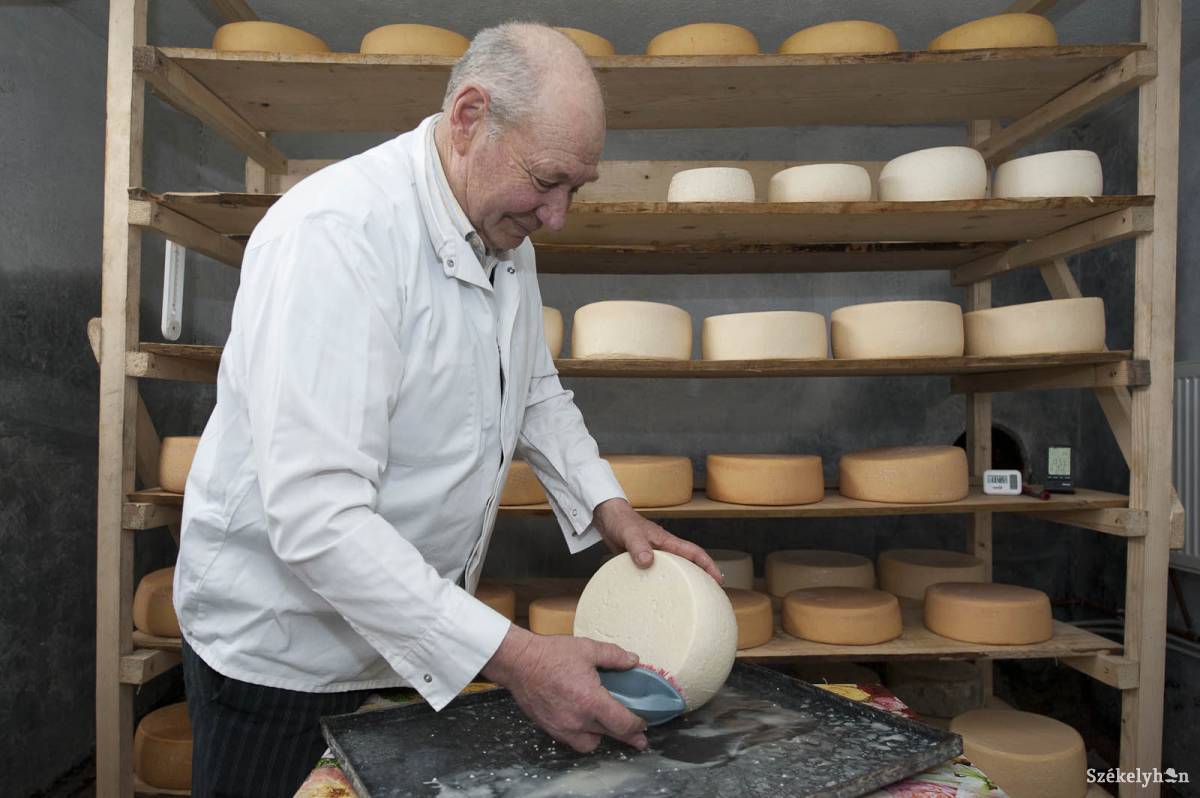 &bullet;  Fotó: Kristó Róbert