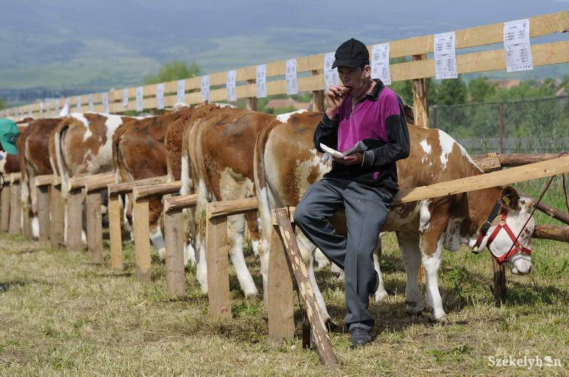 &bullet;  Fotó: Kristó Róbert