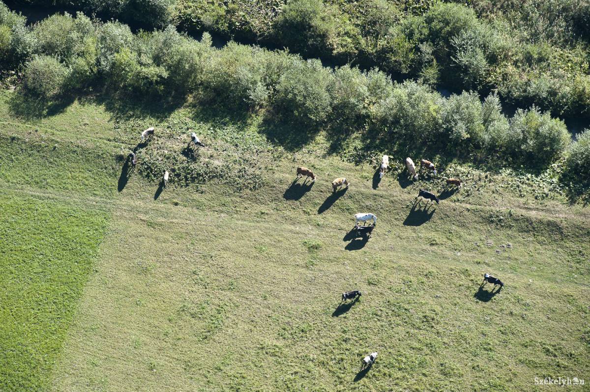 &bullet;  Fotó: Kristó Róbert