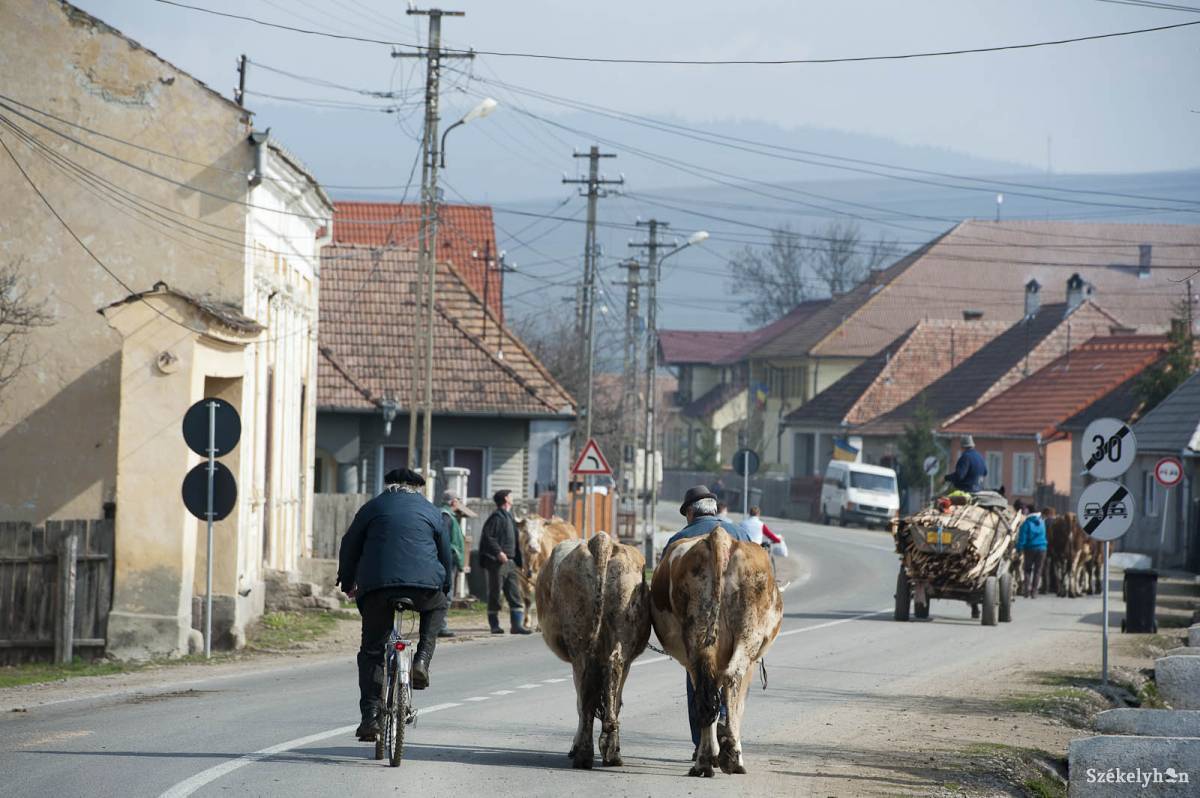 •  Fotó: Kristó Róbert