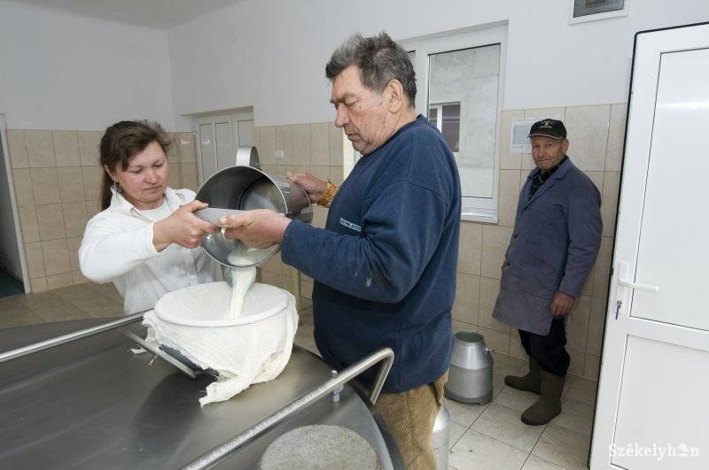 •  Fotó: Kristo Robert