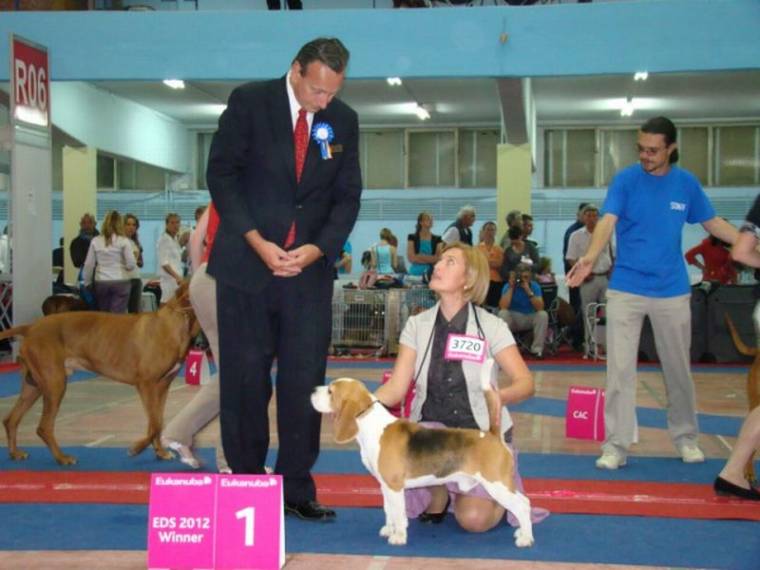 Európa-bajnok és fajtagyőztes kutyák Csíkból