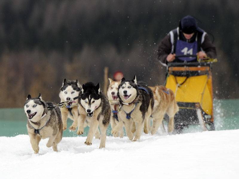 &bullet;  Fotó: Kristó Róbert