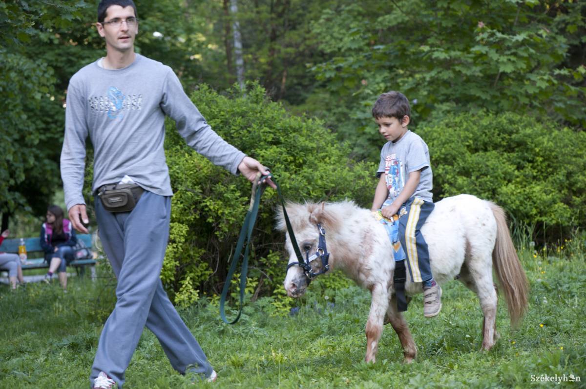 •  Fotó: Kristó Róbert